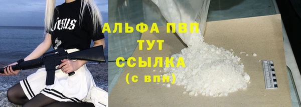 ПСИЛОЦИБИНОВЫЕ ГРИБЫ Белокуриха
