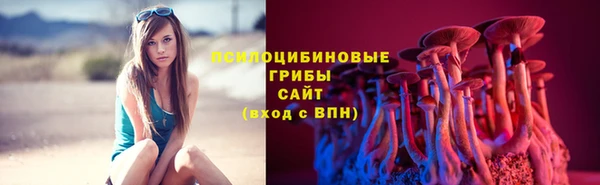 ПСИЛОЦИБИНОВЫЕ ГРИБЫ Белокуриха