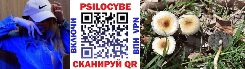 Псилоцибиновые грибы мицелий  MEGA рабочий сайт  Печора 